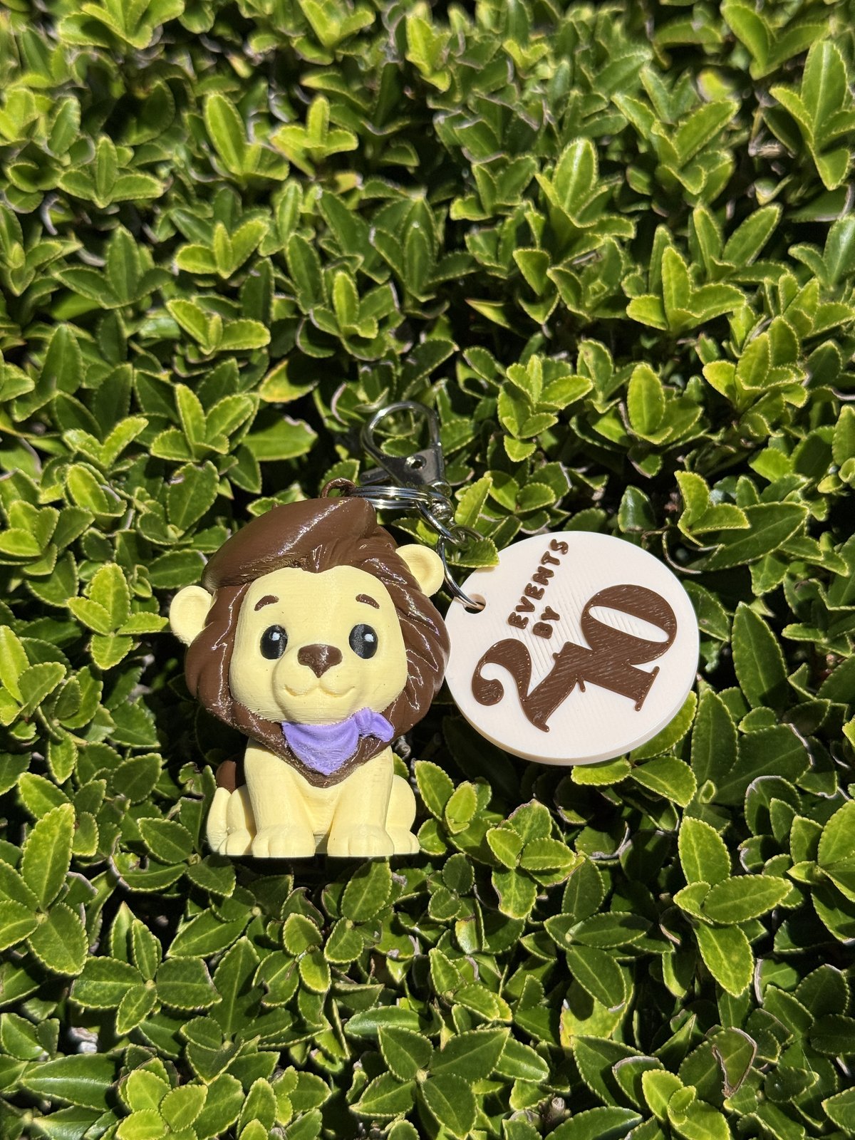 Order for Events by JO.Custom 3D NFC Tags