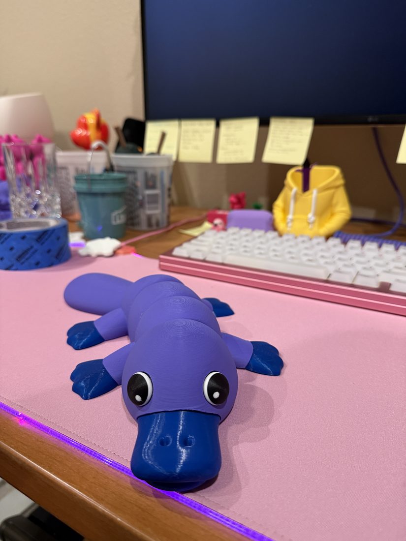 Custom 3D printed branded swag by The Bear Bar — portfolio example 43